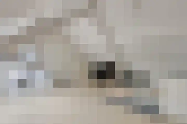 Boeieraak 52 Etten-Leur thumbnail 36