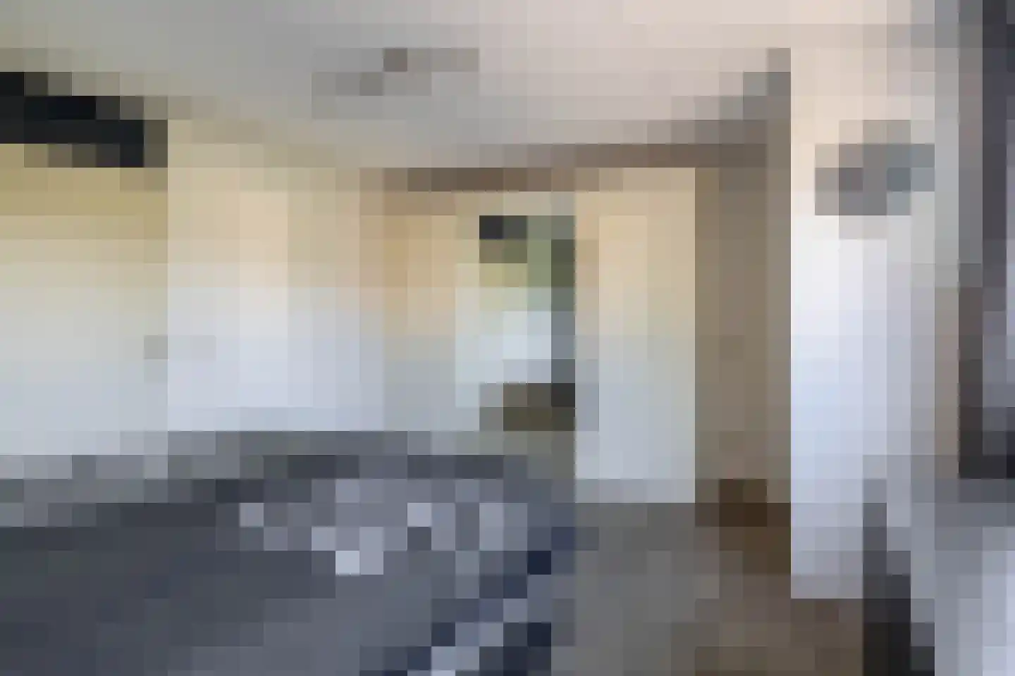 Boeierhof 2 Lisse thumbnail 13