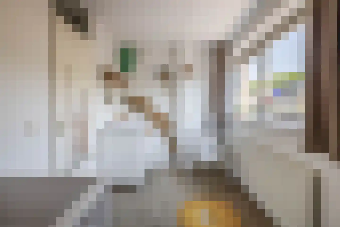 Boeierhof 2 Lisse thumbnail 14