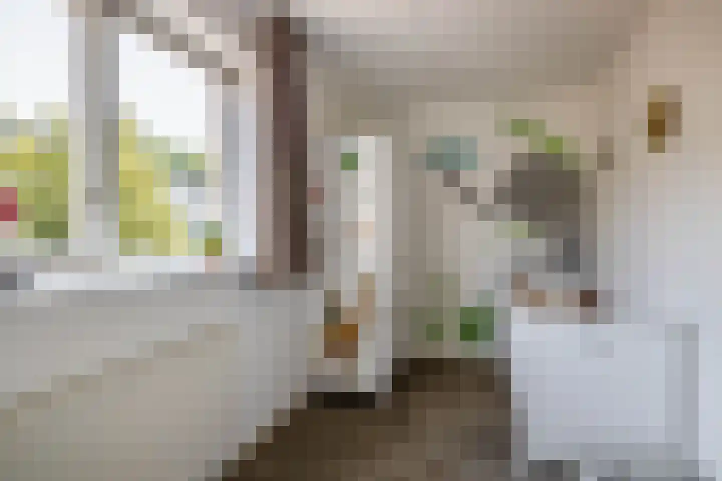 Boeierhof 2 Lisse thumbnail 15