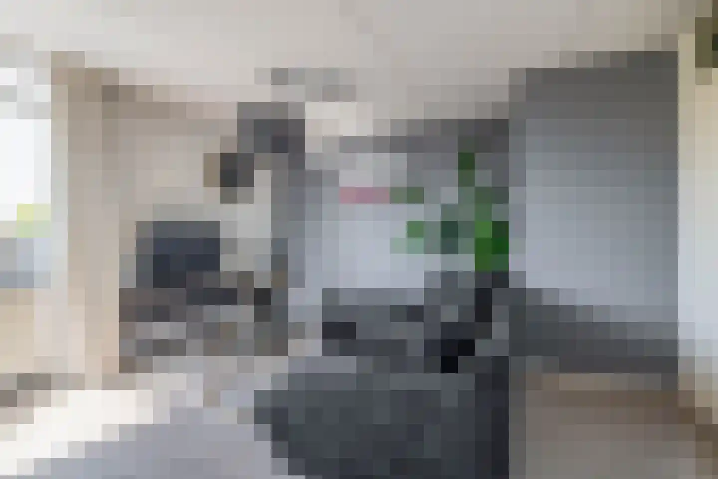 Boeierhof 2 Lisse thumbnail 24
