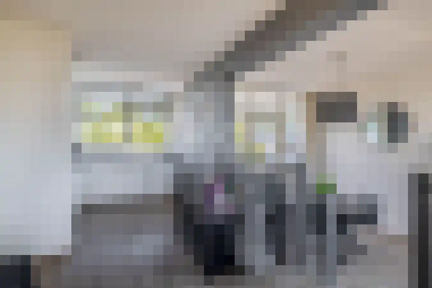 Boeierhof 2 Lisse thumbnail 25