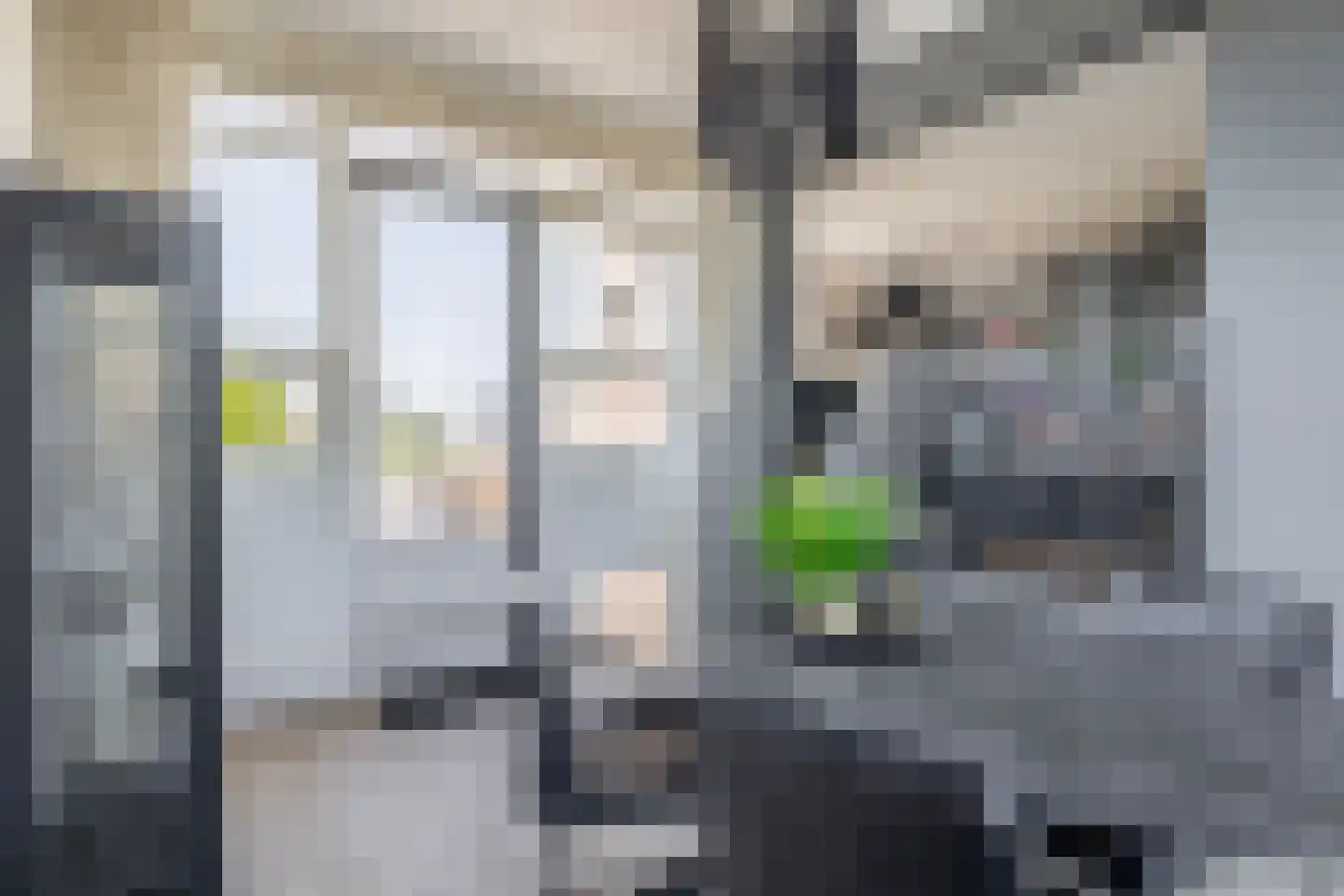 Boeierhof 2 Lisse thumbnail 30