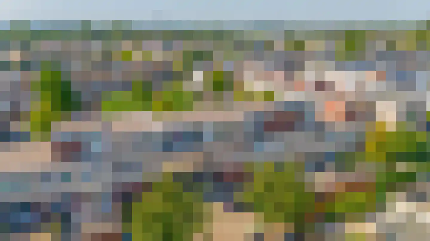 Boeierhof 2 Lisse thumbnail 42