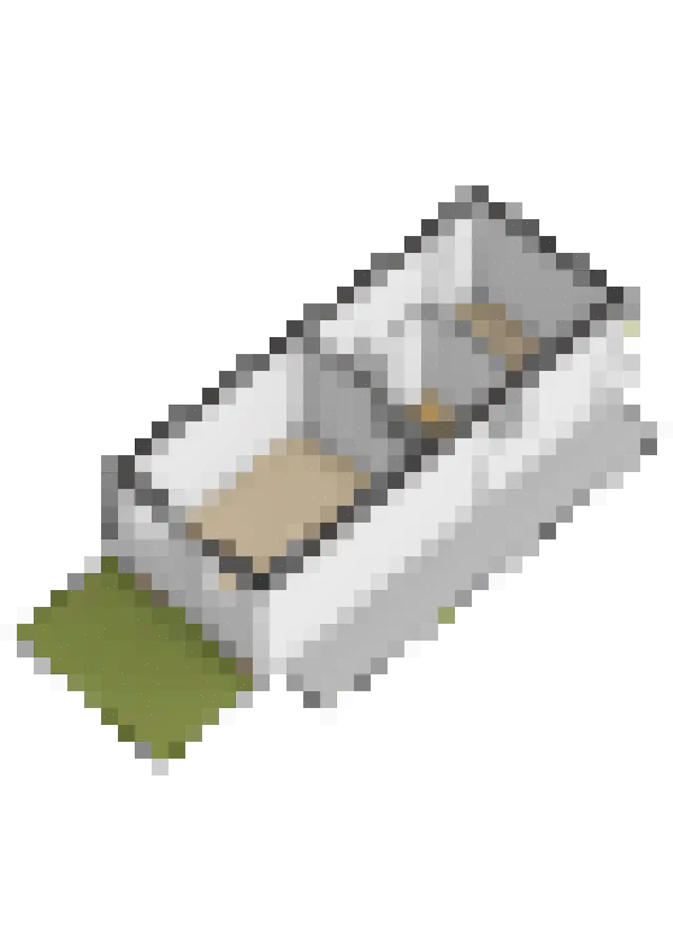 Boeierhof 2 Lisse thumbnail 49