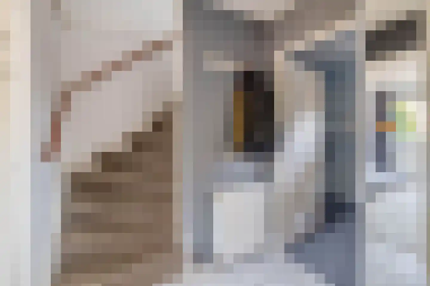 Boeierhof 2 Lisse thumbnail 5