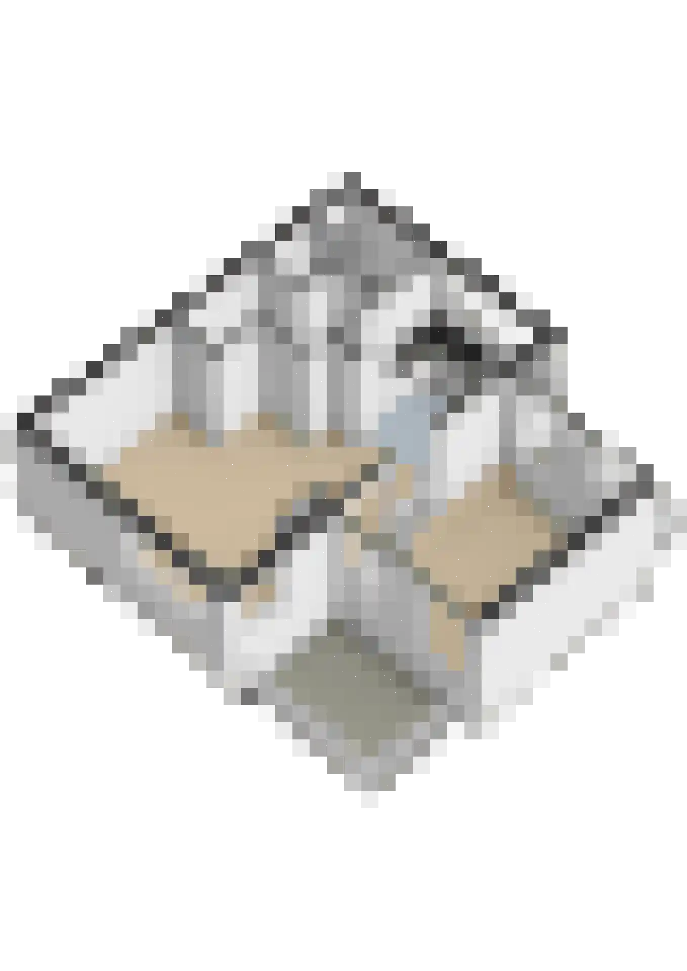 Boeierhof 2 Lisse thumbnail 53