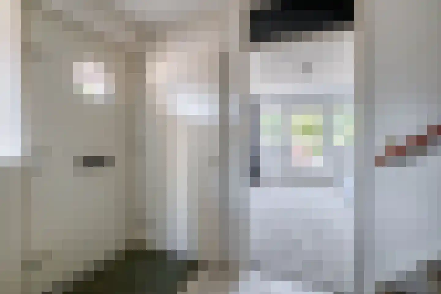 Boeierhof 2 Lisse thumbnail 6