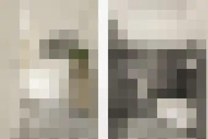 Boeierhof 4 Lisse thumbnail 10