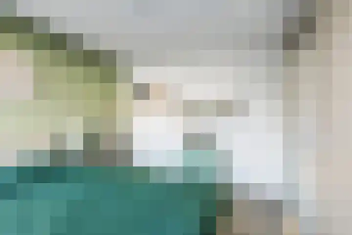 Boeierhof 4 Lisse thumbnail 12