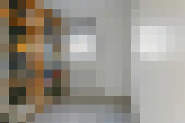 Boeierhof 4 Lisse thumbnail 13