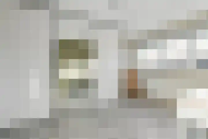 Boeierhof 4 Lisse thumbnail 14