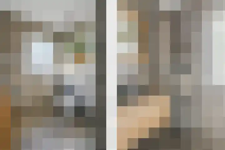 Boeierhof 4 Lisse thumbnail 17