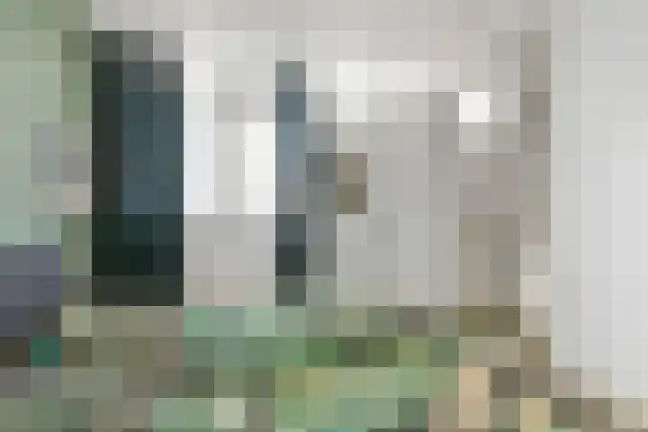 Boeierhof 4 Lisse thumbnail 21