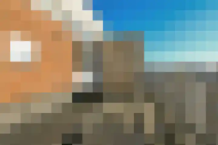 Boeierhof 4 Lisse thumbnail 22