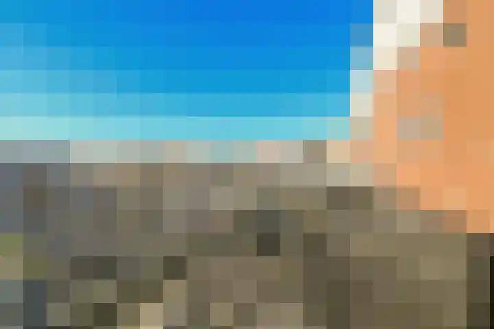 Boeierhof 4 Lisse thumbnail 23