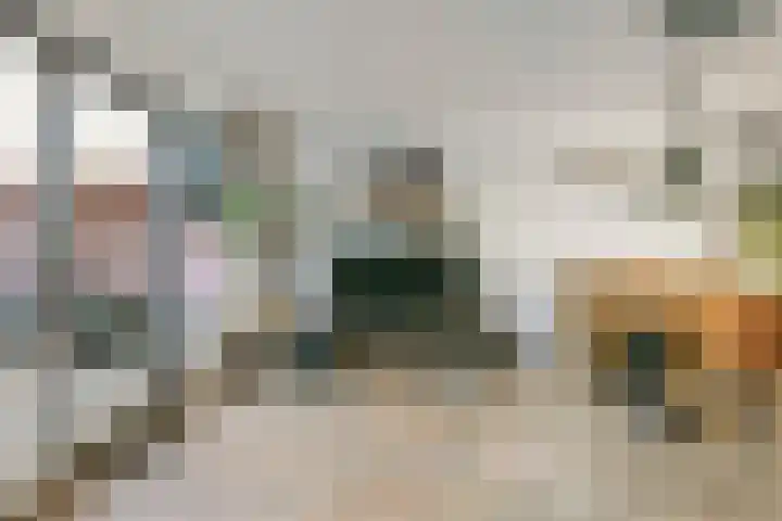 Boeierhof 4 Lisse thumbnail 4