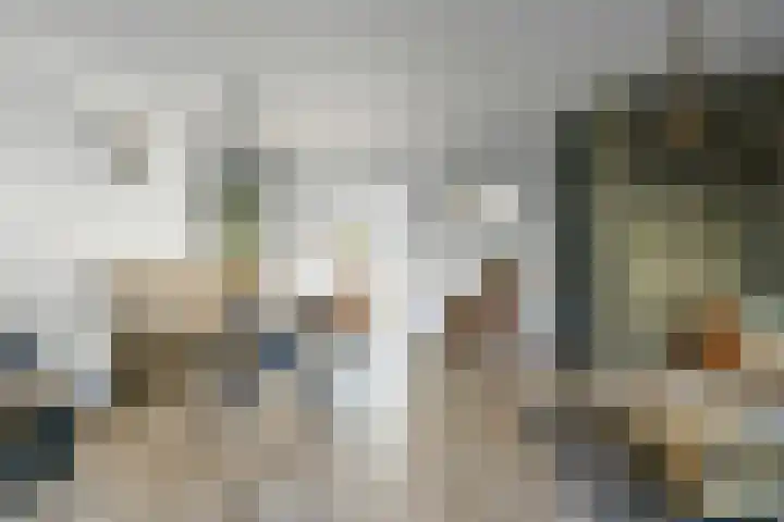 Boeierhof 4 Lisse thumbnail 5