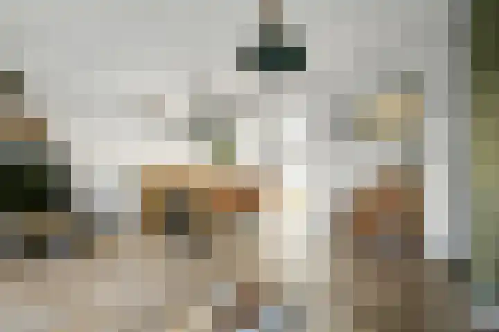 Boeierhof 4 Lisse thumbnail 6