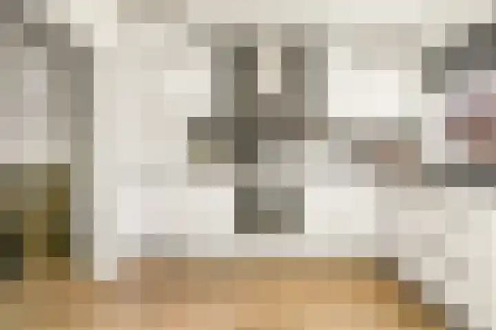Boeierhof 4 Lisse thumbnail 8