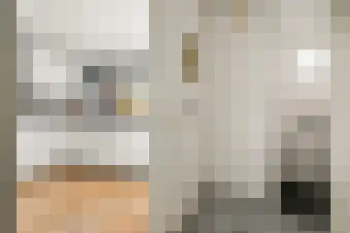 Boeierhof 4 Lisse thumbnail 9