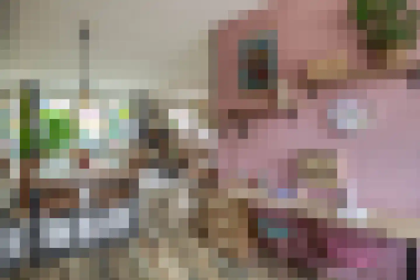 Boeierhof 7 Lisse thumbnail 19