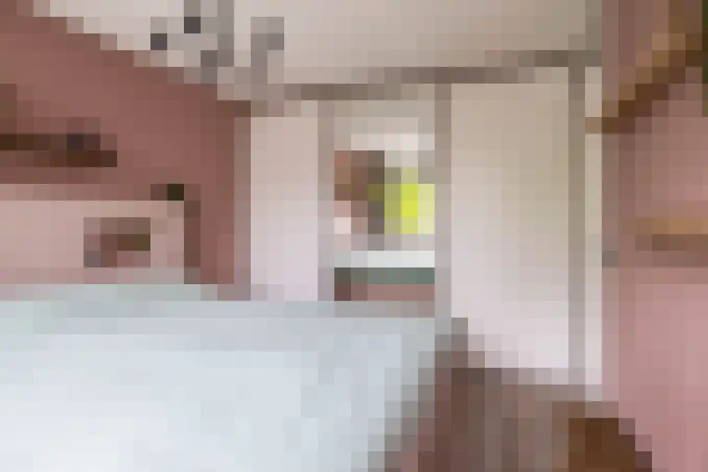 Boeierhof 7 Lisse thumbnail 31