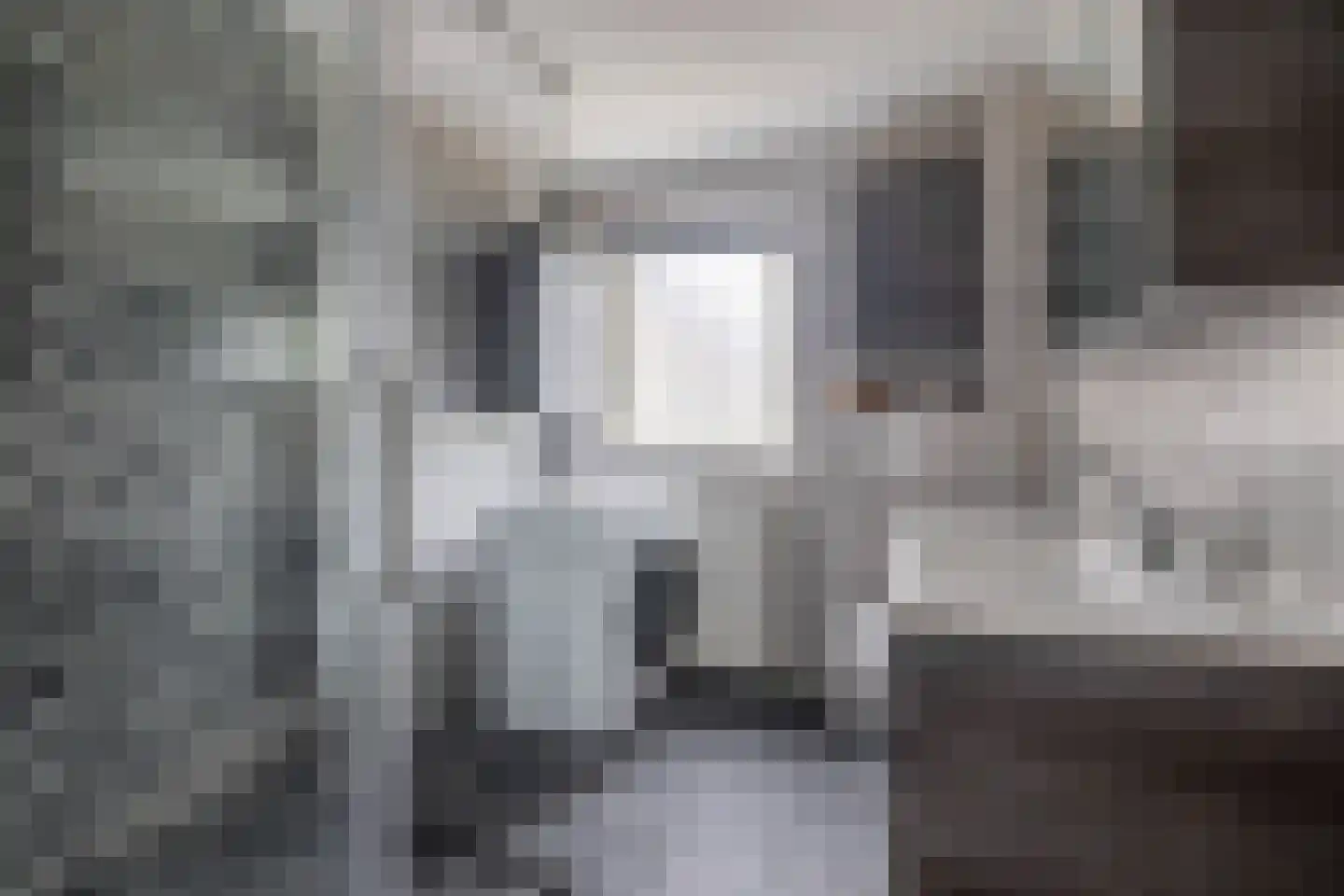 Boeierhof 7 Lisse thumbnail 32