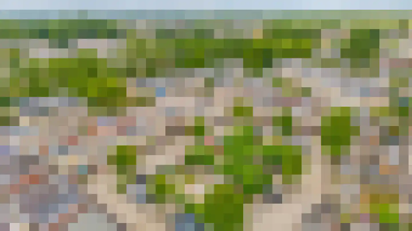 Boeierhof 7 Lisse thumbnail 38