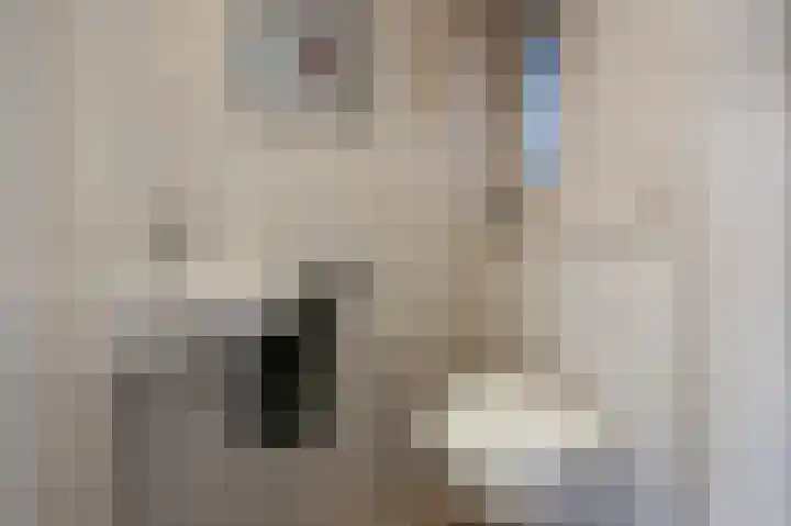 Boeierlaan 18 Zaandam thumbnail 15