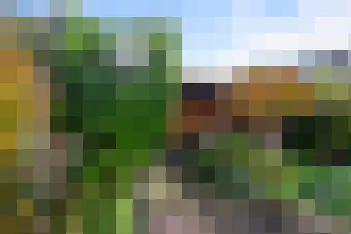 Boeierlaan 18 Zaandam thumbnail 38
