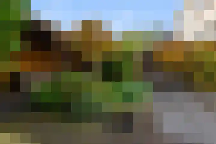 Boeierlaan 18 Zaandam thumbnail 39