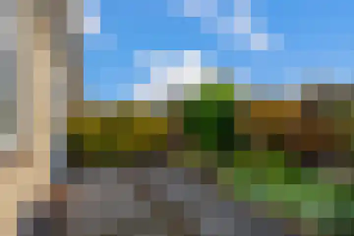 Boeierlaan 18 Zaandam thumbnail 43