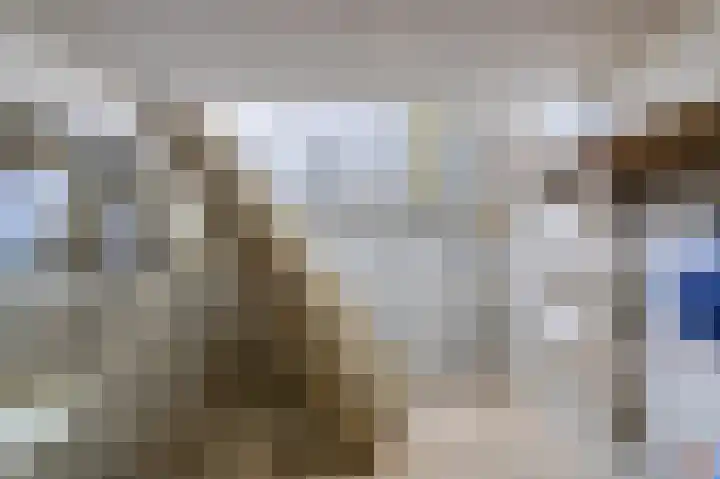 Boeiersingel 11 Groningen thumbnail 17