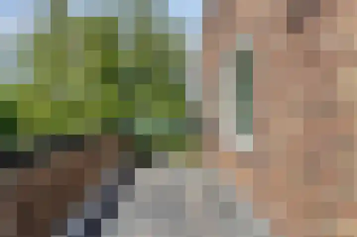 Boeiersingel 11 Groningen thumbnail 30