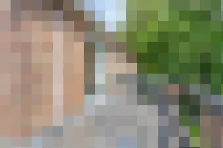 Boeiersingel 11 Groningen thumbnail 31