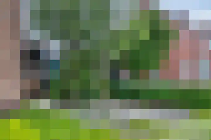 Boeiersingel 11 Groningen thumbnail 38