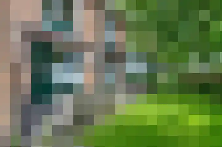 Boeiersingel 11 Groningen thumbnail 41