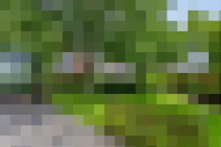 Boeiersingel 11 Groningen thumbnail 42
