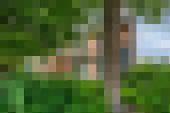 Boeiersingel 11 Groningen thumbnail 43