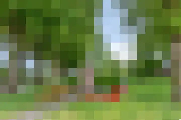 Boeiersingel 11 Groningen thumbnail 44
