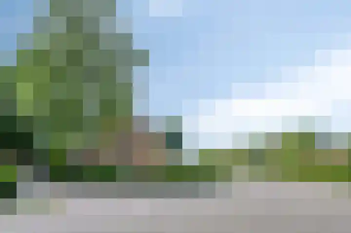 Boeiersingel 11 Groningen thumbnail 45