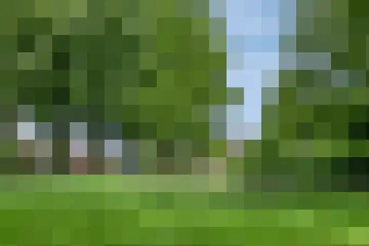 Boeiersingel 11 Groningen thumbnail 47