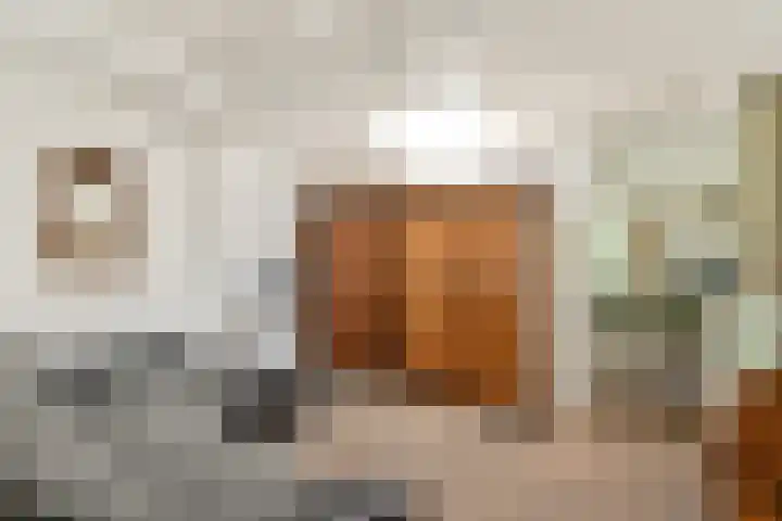 Boeierspad 14 Amsterdam thumbnail 10