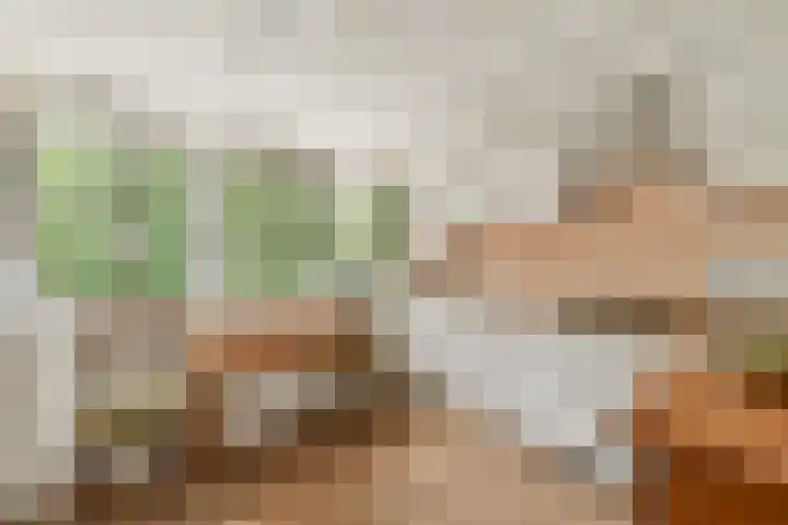 Boeierspad 14 Amsterdam thumbnail 12