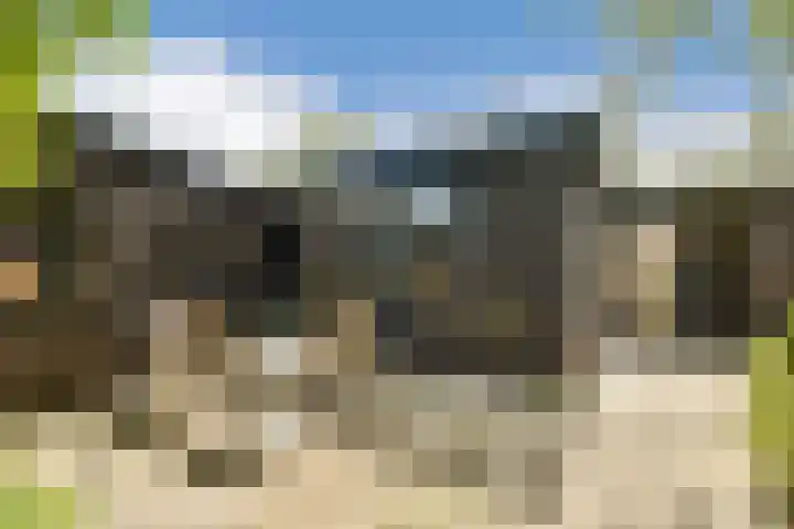 Boeierspad 14 Amsterdam thumbnail 17