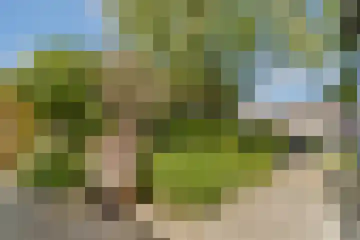 Boeierspad 14 Amsterdam thumbnail 18