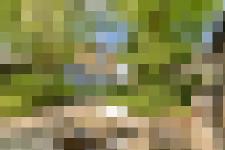 Boeierspad 14 Amsterdam thumbnail 19