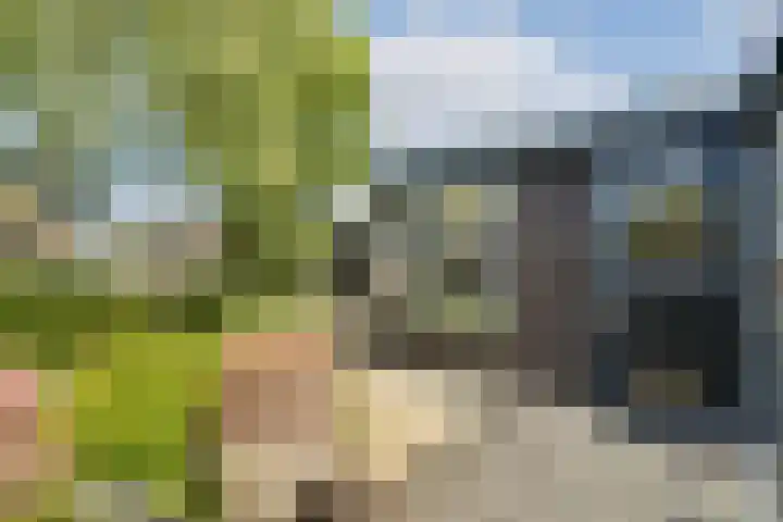 Boeierspad 14 Amsterdam thumbnail 5