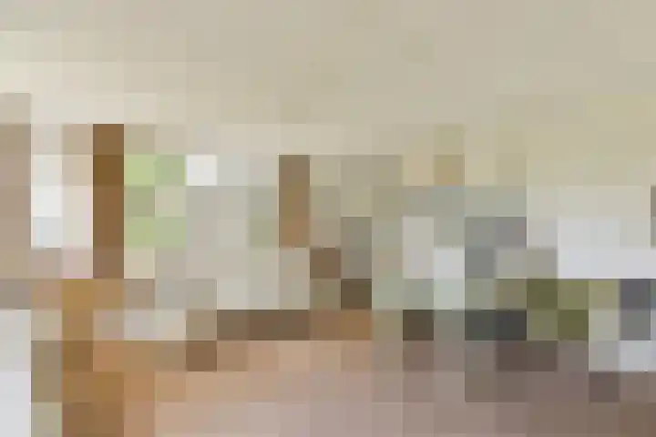 Boeierspad 14 Amsterdam thumbnail 7